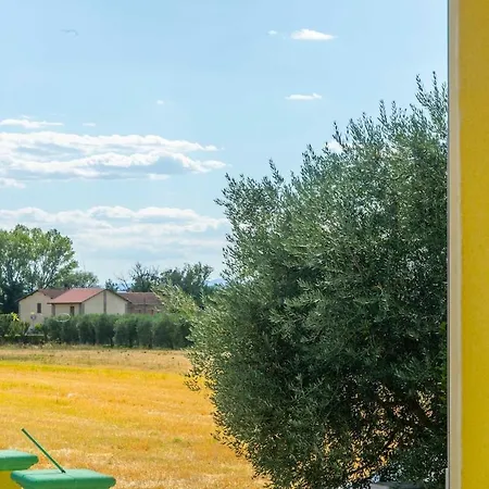 Tatil Evi Willow's House Assisi Big House For Family And Friends Tordibetto