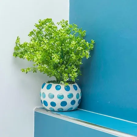 Feriehus Willow's House Assisi Big House For Family And Friends *