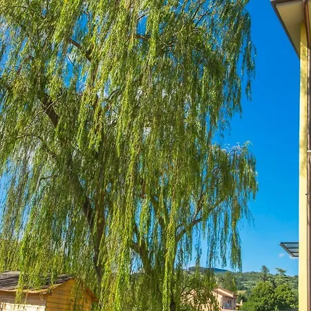 Feriehus Willow's House Assisi Big House For Family And Friends Tordibetto